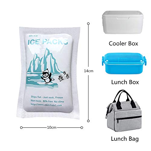 50 Sheets Ice Packs for Shipping Food Perishables Small Freezer Block Cold Packs for Coolers Dry Ice Packs Sheets Auto Water Absorption Ice Packs for Cool Box, 3.3" x 4.7"