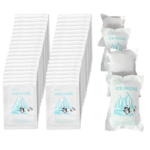 50 Sheets Ice Packs for Shipping Food Perishables Small Freezer Block Cold Packs for Coolers Dry Ice Packs Sheets Auto Water Absorption Ice Packs for Cool Box, 3.3" x 4.7"