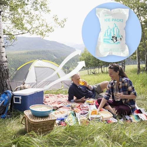 Impacchi di ghiaccio Foglio per la spedizione Piccola confezione 50 fogli, 14,5 x 10 cm non tossico sacchetti di ghiaccio per refrigeratori sandwich, picnic estivo, borsa medica, terapia fredda Impacchi di ghiaccio Foglio per la spedizione Piccola confezione 50 fogli, 14,5 x 10 cm non tossico sacchetti di ghiaccio per refrigeratori sandwich, picnic estivo, borsa medica, terapia fredda