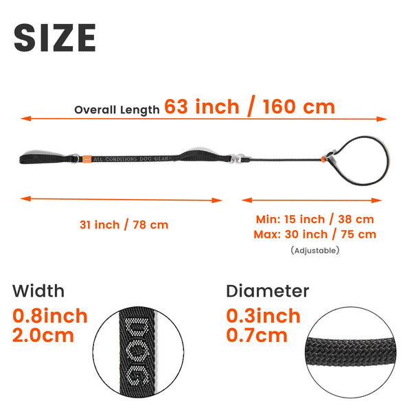 Howgo Dog Slip Lead Dog Leash, Training Leash, No-Pull Lightweight Slip Lead and Collar, Heavy Duty & Durable, Padded Handle, for All Breeds (MultiColor, 5.5FT)