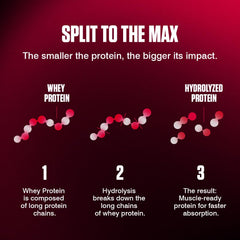 Dymatize ISO 100 Hydrolyzed Gourmet Vanilla 2264g - Whey Protein Hydrolysat + Isolat Powder