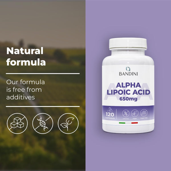Bandini® Alpha Lipoic Acid 650mg | 120 High Strength ALA Vegan Capsules | 4 Month Supply | Alpha-Lipoic Acid Powerful Antioxidant | Maximum Absorption Aminoacid Supplement | No Synthetic Binders