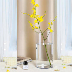 3 Pack Acrylic Cylinder Vase,25x15cm, 25x12cm and 25x10cm, Shatter-Proof Plastic Cylindrical Flower Vases for Wedding Centerpieces, Home Office Decorations, Shatter-Proof