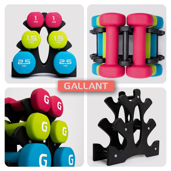 Gallant Neoprene Weights Dumbbells Set with Stand - Hex Dumbbell Hand Weights for Women & Men - Free Weights Set For Home Gym Fitness Pilates Training Exercise 10KG (1kg, 1.5kg, 2.5kg Pair)