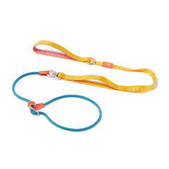 Howgo Dog Slip Lead Dog Leash, Training Leash, No-Pull Lightweight Slip Lead and Collar, Heavy Duty & Durable, Padded Handle, for All Breeds (MultiColor, 5.5FT)