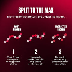 Dymatize ISO 100 Hydrolyzed Gourmet Vanilla 932g - Whey Protein Hydrolysat + Isolat Powder