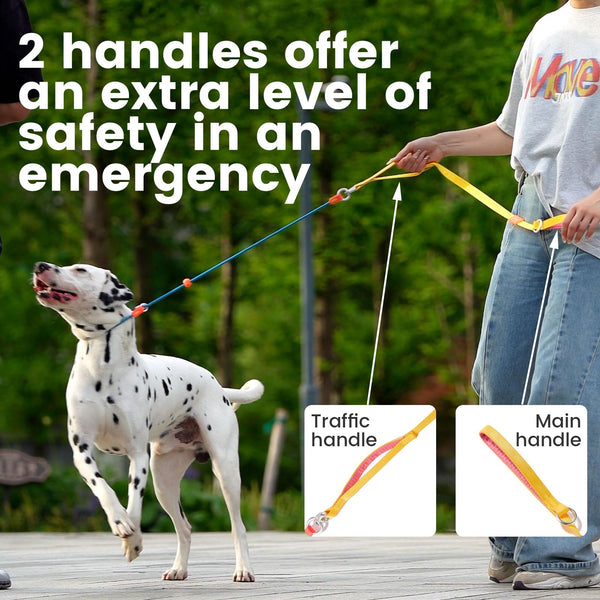 Howgo Dog Slip Lead Dog Leash, Training Leash, No-Pull Lightweight Slip Lead and Collar, Heavy Duty & Durable, Padded Handle, for All Breeds (MultiColor, 5.5FT)