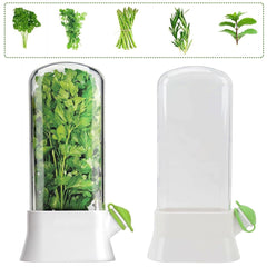 SUQ 2PCS Herb Saver for Refrigerator, 27*13 CM, Fresh Herb Keeper Herb Storage Container, Vegetable Storage Long Term Freshness Preservation, Keeps Cilantro Greens Fresh for 2-3 Weeks