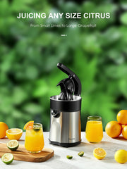 Reemix Electric Citrus Juicer, 85W, 300ml, Stainless Steel