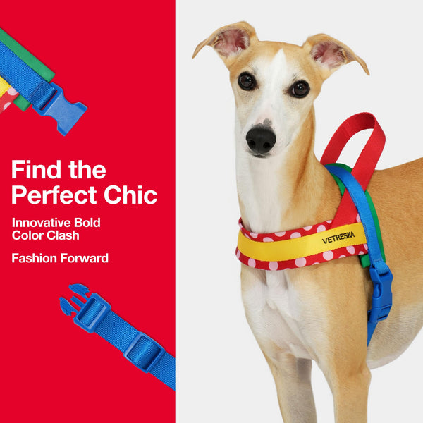 VETRESKA Dog Harness and Leash Set, Easy Walk Dog Harness for Small Medium Dogs, No Pull Puppy Harness for Walking and Training, Adjustable, Take Control & Anti-Twist Pet Lead Combo (Red, XS)