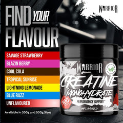 Warrior Creatine Monohydrate Powder 300g (100 Servings) – Pure Micronised Creatine Powder Supplement for Men & Women, Pre & Post Workout Strength, Muscle Growth & Recovery, Vegan – Unflavoured