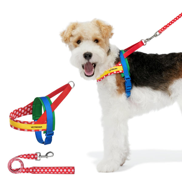 VETRESKA Dog Harness and Leash Set, Easy Walk Dog Harness for Small Medium Dogs, No Pull Puppy Harness for Walking and Training, Adjustable, Take Control & Anti-Twist Pet Lead Combo (Red, XS)