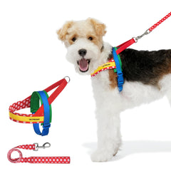 VETRESKA Dog Harness and Leash Set, Easy Walk Dog Harness for Small Medium Dogs, No Pull Puppy Harness for Walking and Training, Adjustable, Take Control & Anti-Twist Pet Lead Combo (Red, XS)