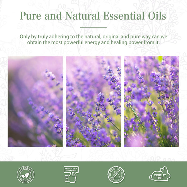 PHATOIL Lavender Essential Oil 100ml, 100% Natural & Pure Premium Graded Lavender Essential Oils for Diffusers, Humidifiers, Aromatherapy, Skin Hair Care and Candle Soap Making