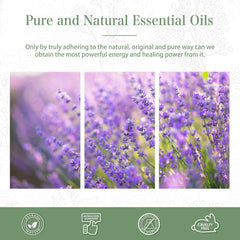 PHATOIL Lavender Essential Oil 100ml, 100% Natural & Pure Premium Graded Lavender Essential Oils for Diffusers, Humidifiers, Aromatherapy, Skin Hair Care and Candle Soap Making