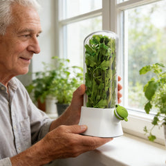 SUQ 2PCS Herb Saver for Refrigerator, 27*13 CM, Fresh Herb Keeper Herb Storage Container, Vegetable Storage Long Term Freshness Preservation, Keeps Cilantro Greens Fresh for 2-3 Weeks