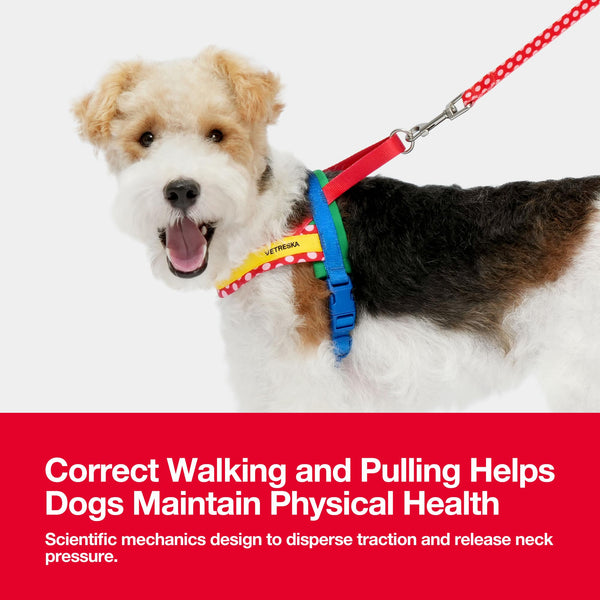 VETRESKA Dog Harness and Leash Set, Easy Walk Dog Harness for Small Medium Dogs, No Pull Puppy Harness for Walking and Training, Adjustable, Take Control & Anti-Twist Pet Lead Combo (Red, XS)