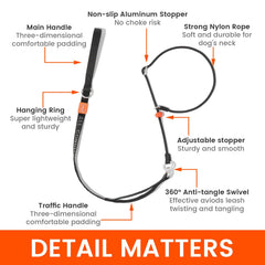 Howgo Dog Slip Lead Dog Leash, Training Leash, No-Pull Lightweight Slip Lead and Collar, Heavy Duty & Durable, Padded Handle, for All Breeds (MultiColor, 5.5FT)