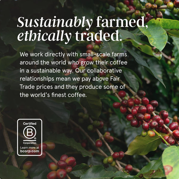 Grind House Blend Coffee Pods – Pack of 100 Biodegradable Capsules – 100% Arabica – Nespresso® Original Compatible – Home Compostable – Barista Quality and Specialty Grade – Medium Roast