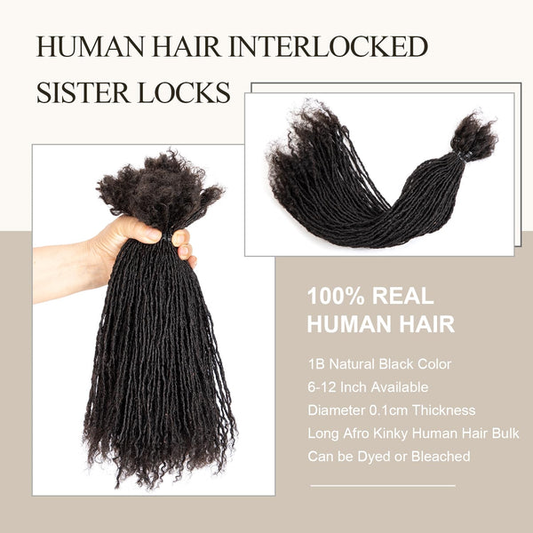Originea Dreadlocs Extensions Human Hair 0.1cm Thickness Curly Tips Interlocked Sisters Locs 100% Real Human Hair Full Handmade Micro Locs with curly ends Dreadlock Extensions (10 Inch 100 Strands)