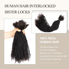 Originea Dreadlocs Extensions Human Hair 0.1cm Thickness Curly Tips Interlocked Sisters Locs 100% Real Human Hair Full Handmade Micro Locs with curly ends Dreadlock Extensions (10 Inch 100 Strands)
