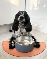 Stainless Steel Double Walled Dog Bowls | Durable, Non-slip & Dishwasher Safe Pet Bowl with Powder Coating Colour | Available in 900ml and 1900ml, in Grey or Teal (Teal, 1900ml)