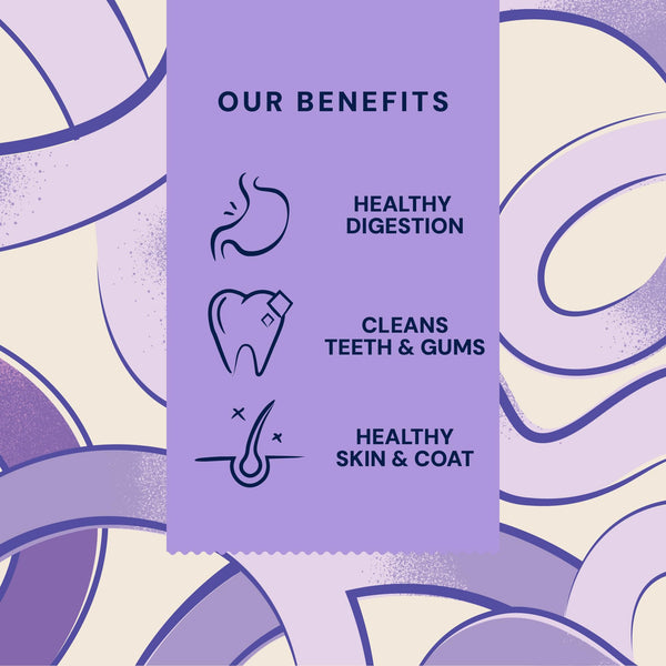 Pooch & Mutt - Digestive Support Chew, Long Lasting Chews, 90g (2 chews)