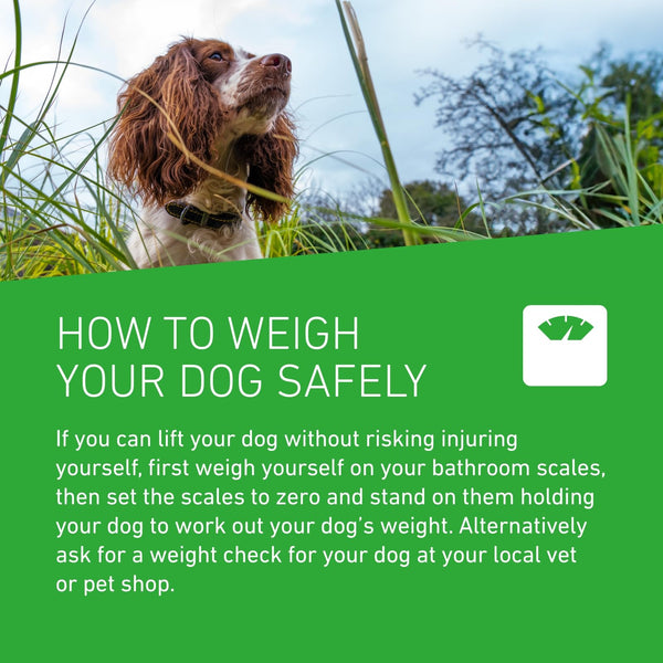 FRONTLINE Plus Flea & Tick Treatment for Large Dogs - 3 Pipettes