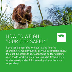 FRONTLINE Plus Flea & Tick Treatment for Large Dogs - 3 Pipettes