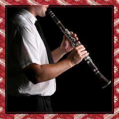 Eastar B Flat Clarinet for Beginner, Ebonite Clarinet Nickel-plated with 2 Barrels, 3 Reeds, White Gloves, Hard Case, Cleaning Kt, ECL-300