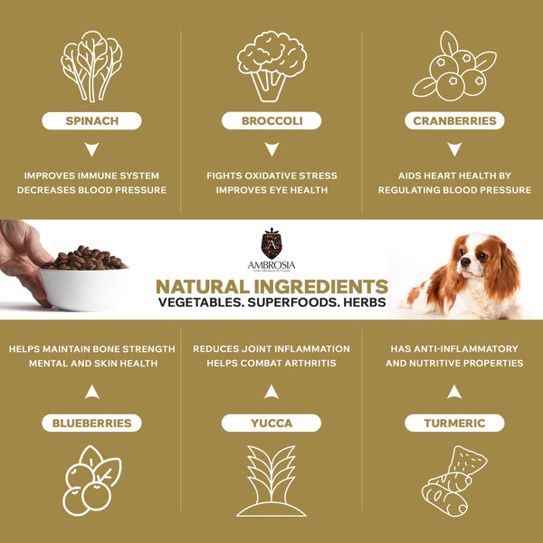 Ambrosia Ultra Premium Pet Food® | Grain-Free Dry Dog Food Small Breed, 1.5Kg, Hypoallergenic, High-Protein, Holistic | Fresh Salmon & Rabbit, Small Kibble