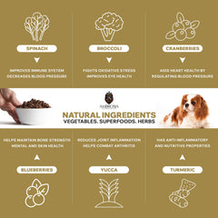 Ambrosia Ultra Premium Pet Food® | Grain-Free Dry Dog Food Small Breed, 1.5Kg, Hypoallergenic, High-Protein, Holistic | Fresh Salmon & Rabbit, Small Kibble