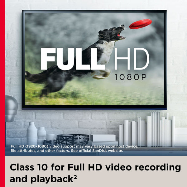 SanDisk Ultra microSD with SD Adapter - 32GB