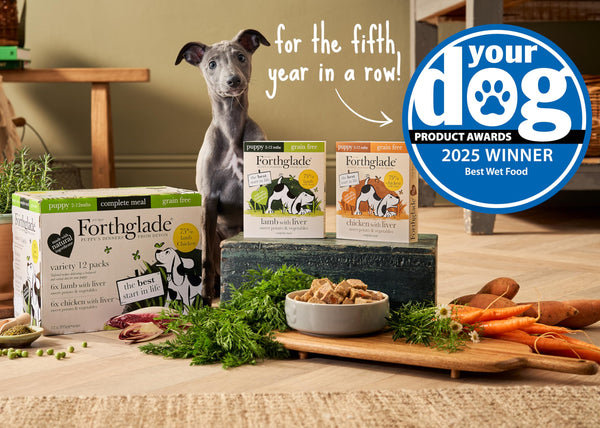 Forthglade Wet Puppy Food Variety Pack (18 x 395g Trays) - Grain Free & Hypoallergenic Dog Food, Lamb with Liver & Vegetables, Complete Meals for Puppies 2-12 Months