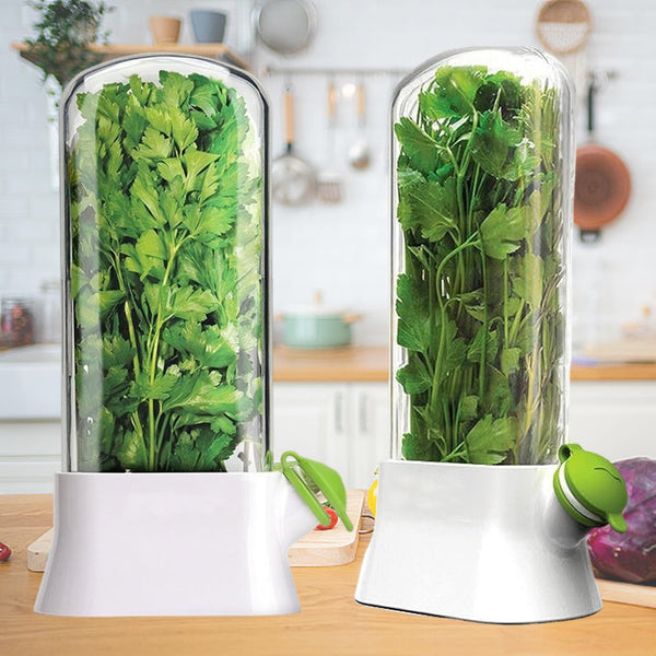 SUQ 2PCS Herb Saver for Refrigerator, 27*13 CM, Fresh Herb Keeper Herb Storage Container, Vegetable Storage Long Term Freshness Preservation, Keeps Cilantro Greens Fresh for 2-3 Weeks