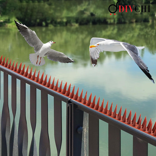 DIVCHI 20 Pcs Bird Spikes for Anti Pigeons And Birds, Fence Wall Spikes Garden Security Anti-Climb Cat Bird Intruder Pest Deterrent, Birds Fence Roof Tall Covers 33.5 x 4.5 x 3.7cm 6.7M (22ft) (Brown)