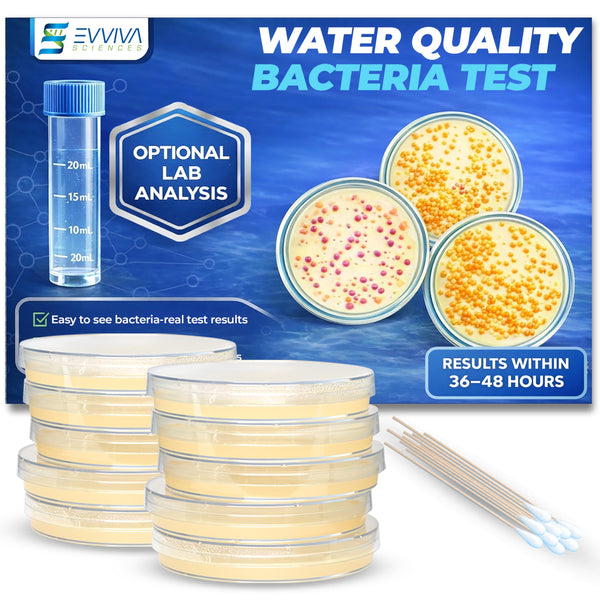 Evviva Sciences Water Bacteria Test Kit – 10 Tests for Total Bacteria, coliforms & E. coli. Lab-Ready agar Plates for Well, tap, Pool, & City Water. Fast DIY Results + Optional lab Report.
