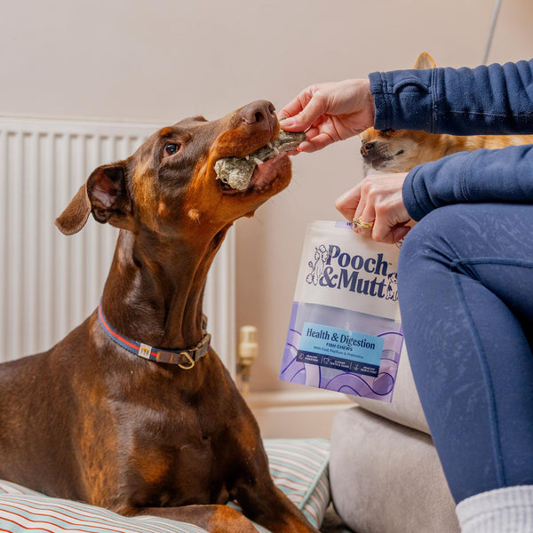 Pooch & Mutt - Digestive Support Chew, Long Lasting Chews, 90g (2 chews)