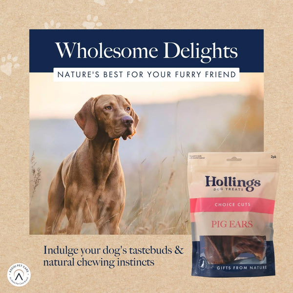 Hollings Pig Ears Dog Treats, 100% Natural Air Dried Long Lasting Chews for Adult Dogs, Grain Free & High in Protein (Pack of 2)