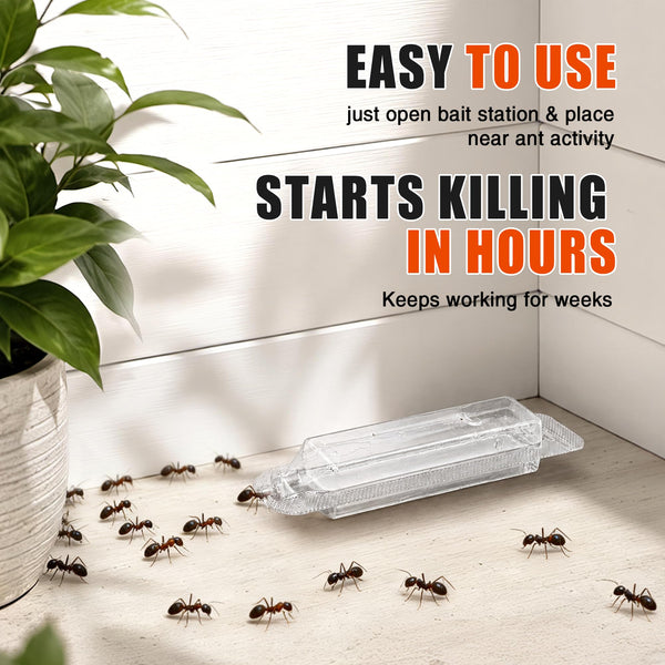 Liquid Ant Bait 20 Pack, Ant Killer Bait Stations for Indoor & Outdoor
