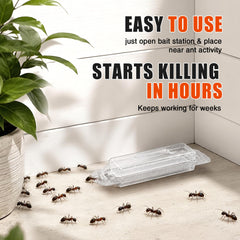 Liquid Ant Bait 20 Pack, Ant Killer Bait Stations for Indoor & Outdoor