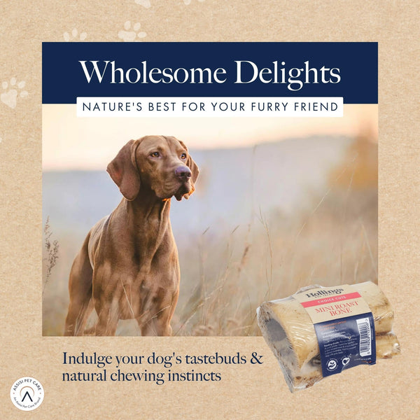 Hollings Mini Roast Bone For Adult Dogs, 100% Natural & Healthy Air Dried Long Lasting Dog Bone, Grain Free & No Rawhide (1 Count)
