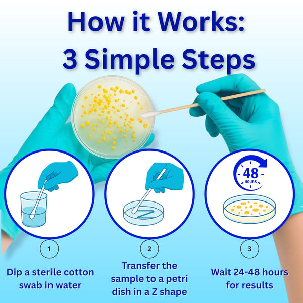 Evviva Sciences Water Bacteria Test Kit – 10 Tests for Total Bacteria, coliforms & E. coli. Lab-Ready agar Plates for Well, tap, Pool, & City Water. Fast DIY Results + Optional lab Report.