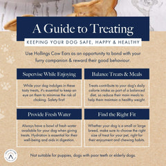 Hollings Cow Ears Dog Treats, 100% Natural & Nutritious Long Lasting Chew Treats for Adult Dogs, Grain Free & High in Protein, Pack of 1 (3 Pieces)