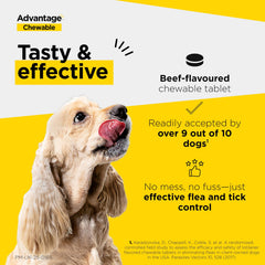 Advantage Chewable 56mg Chewable Tablets for Dogs 1.3-2.5kg (3 pack), Flea and Tick Treatment, Fast Acting Kills Fleas Within Hours, Prevention Lasts For A Month, Easy To Administer