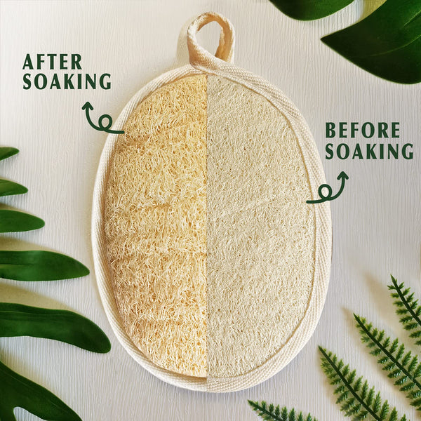 Natural Loofah Sponge Exfoliating Body Scrubber (2 Pack),Made with Eco-Friendly and Biodegradable Shower Luffa Sponge, Loofah for Women and Men, Beige…