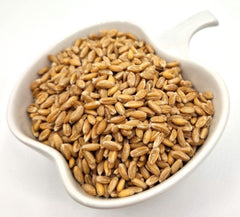 Thames Organic Spelt Grain, Nutty & Hearty, Versatile Whole Grain for Baking & Cooking, Organic & Non-GMO, Rich in Plant Protein & Fiber - Ideal for Vegan, Vegetarian Diets 1kg