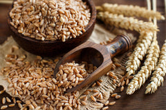 Thames Organic Spelt Grain, Nutty & Hearty, Versatile Whole Grain for Baking & Cooking, Organic & Non-GMO, Rich in Plant Protein & Fiber - Ideal for Vegan, Vegetarian Diets 1kg
