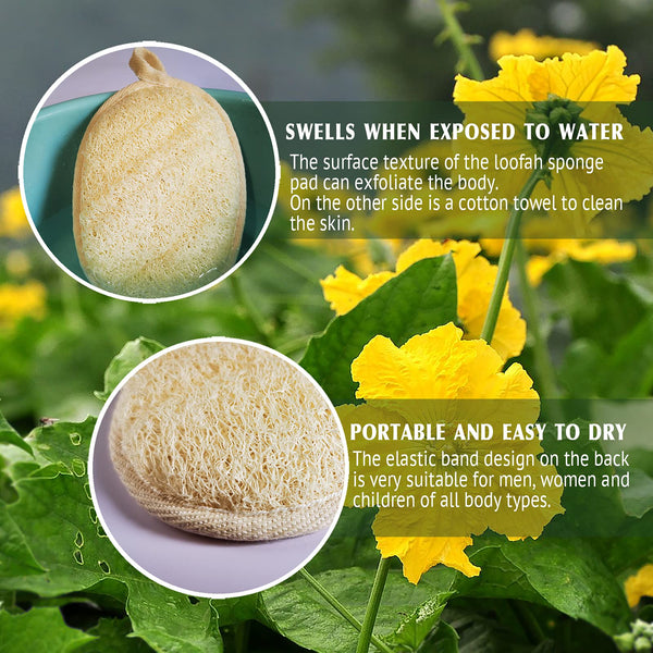 Natural Loofah Sponge Exfoliating Body Scrubber (2 Pack),Made with Eco-Friendly and Biodegradable Shower Luffa Sponge, Loofah for Women and Men, Beige…