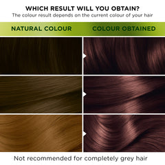 Garnier Nutrisse Ultra Color Hair Dye, Vegan, 5.25 Frosted Chestnut Brown. Provides 100% grey coverage and vibrant, long-lasting 8-week colour. No-ammonia, vegan for a beautiful frosted chestnut.